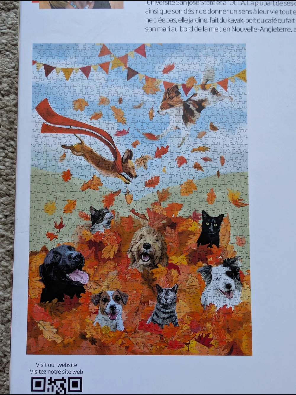WerkShoppe 1000 piece